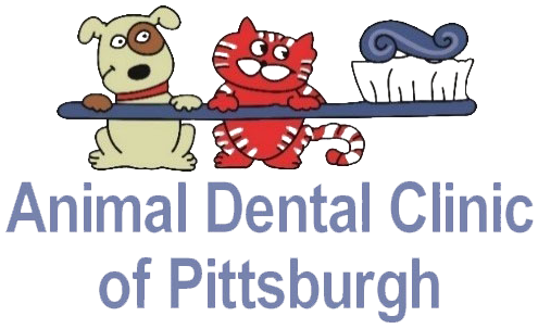 Animal Dental Clinic of Pittsburgh Logo